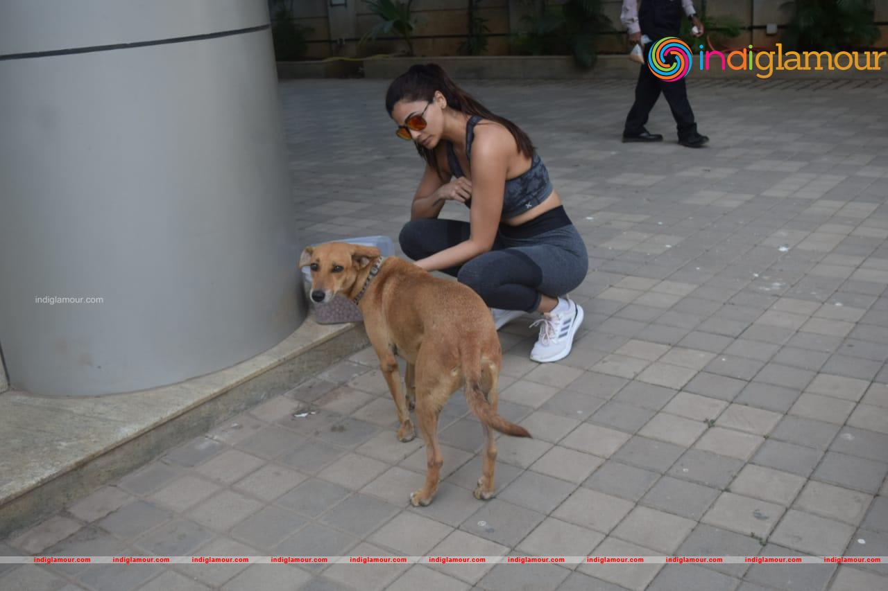Daisy Shah Actress hd photo