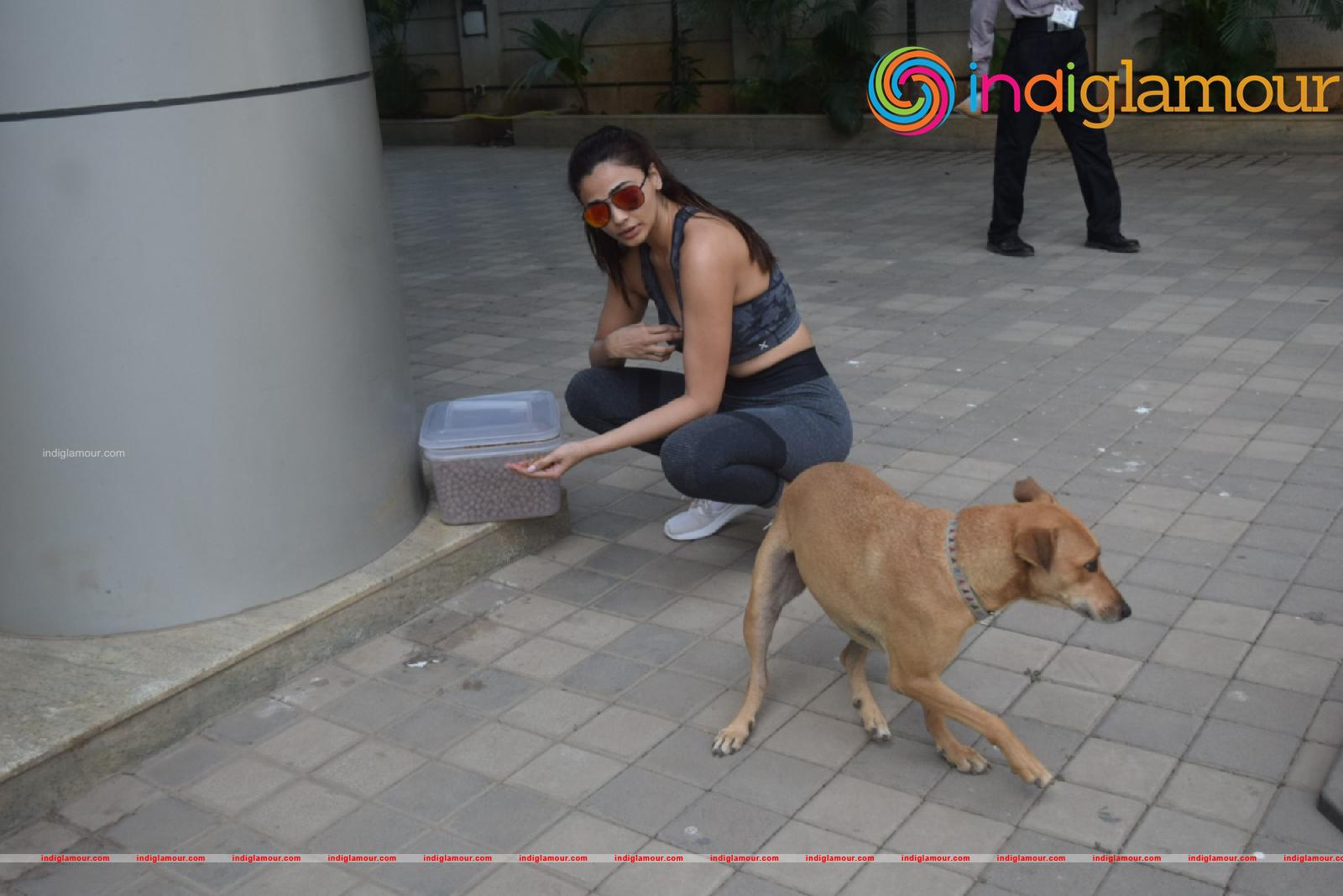 Daisy Shah Actress hd photo