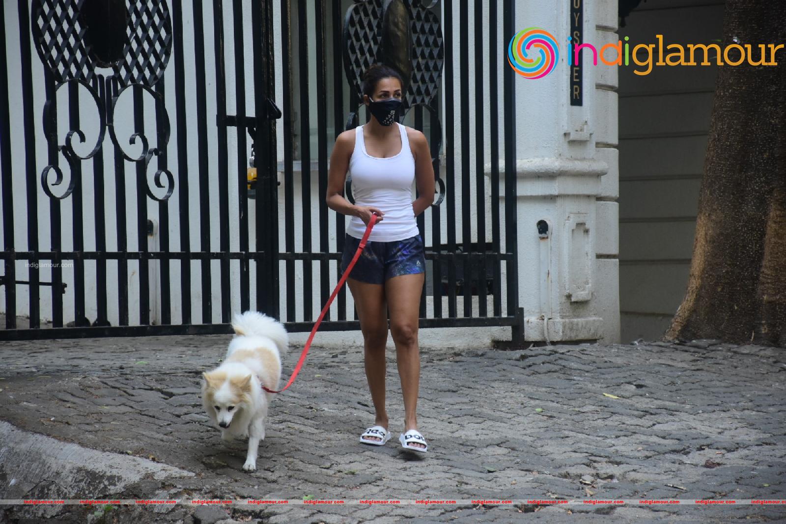 Malaika Arora Actress hd photo