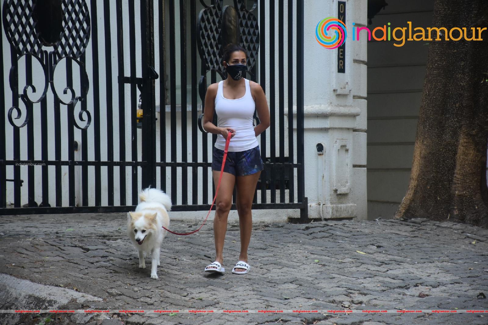Malaika Arora Actress hd photo