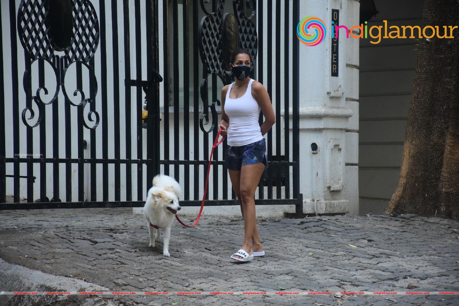 Malaika Arora Actress hd photo