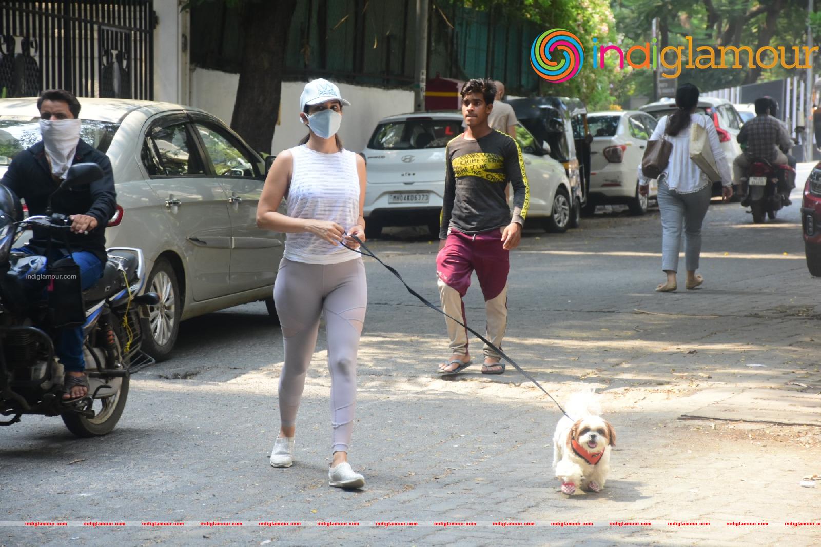 Sophie Choudry Actress hd photo
