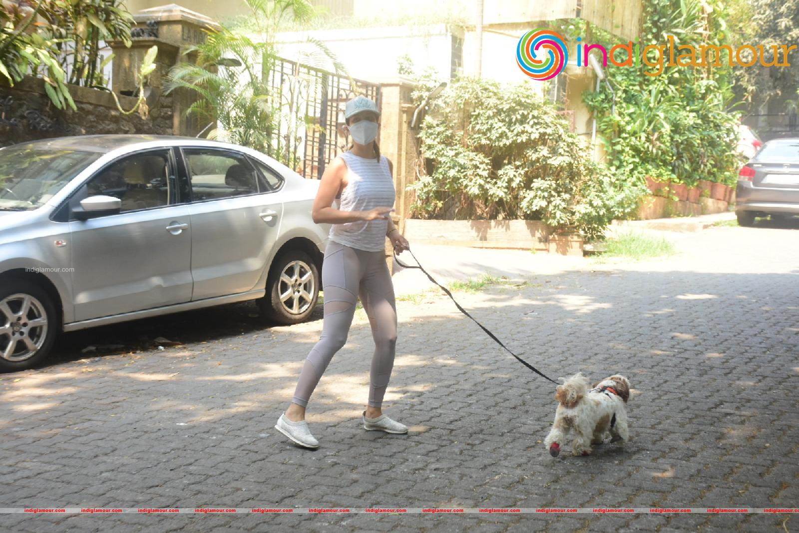 Sophie Choudry Actress hd photo