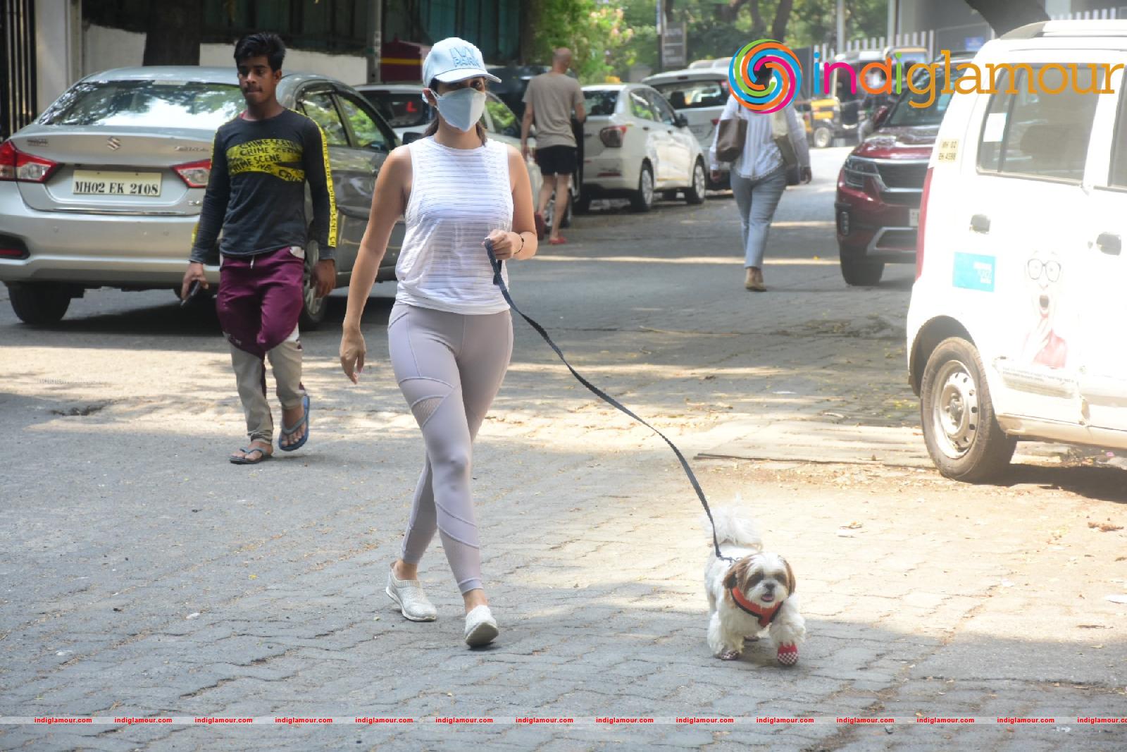 Sophie Choudry Actress hd photo
