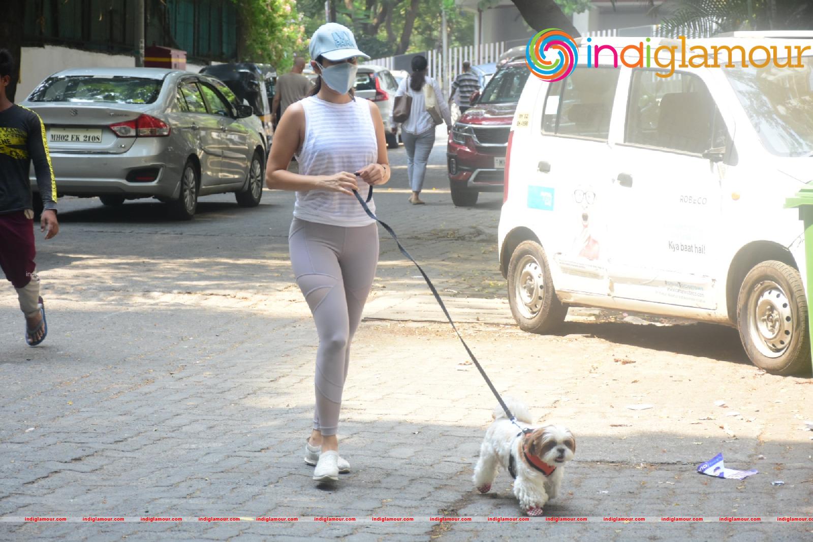 Sophie Choudry Actress hd photo