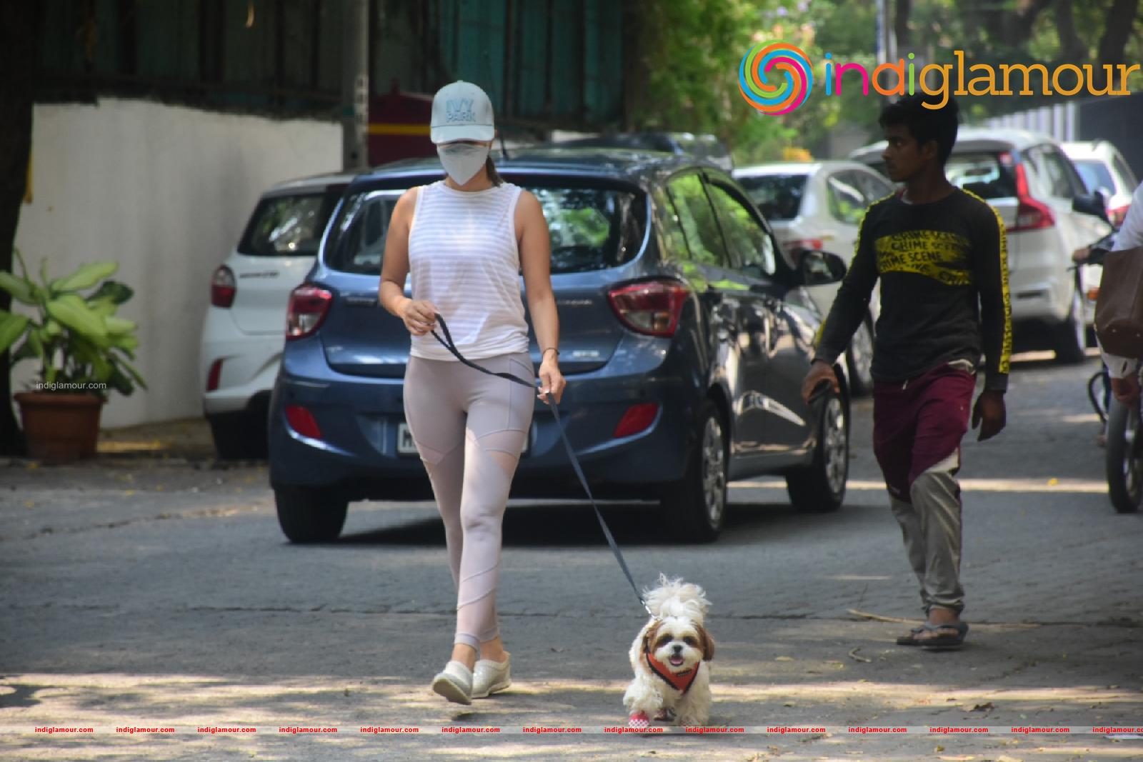 Sophie Choudry Actress hd photo