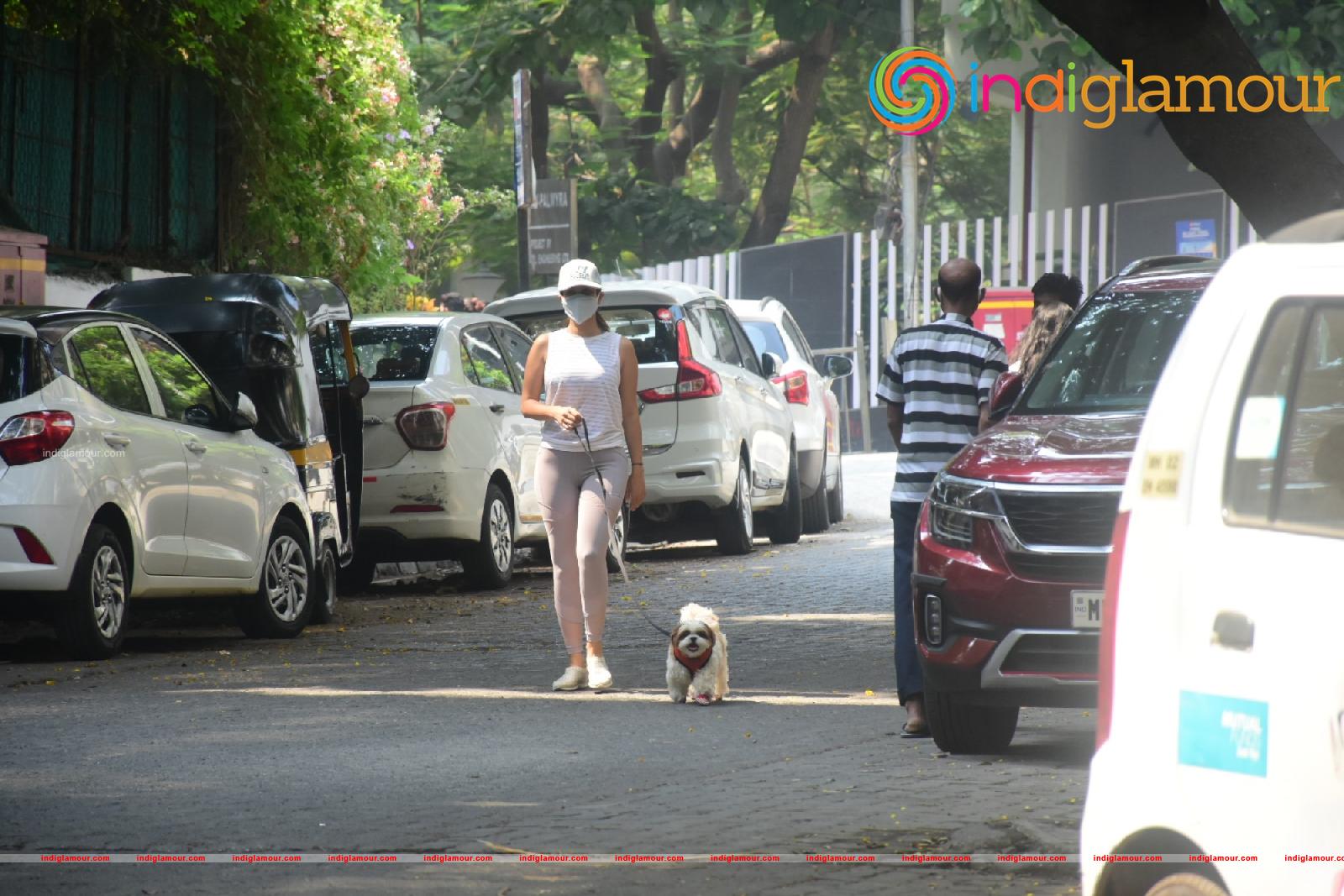 Sophie Choudry Actress hd photo