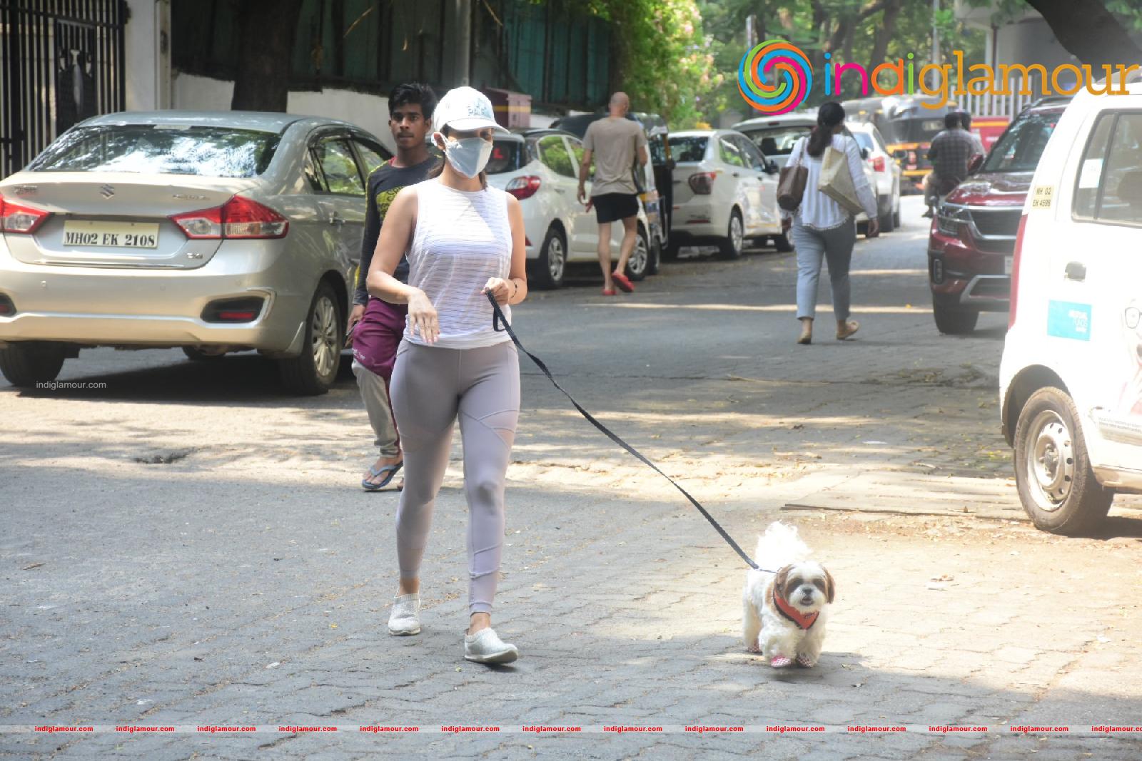 Sophie Choudry Actress hd photo