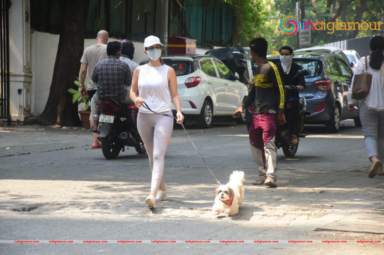 Sophie Choudry Actress hd photo