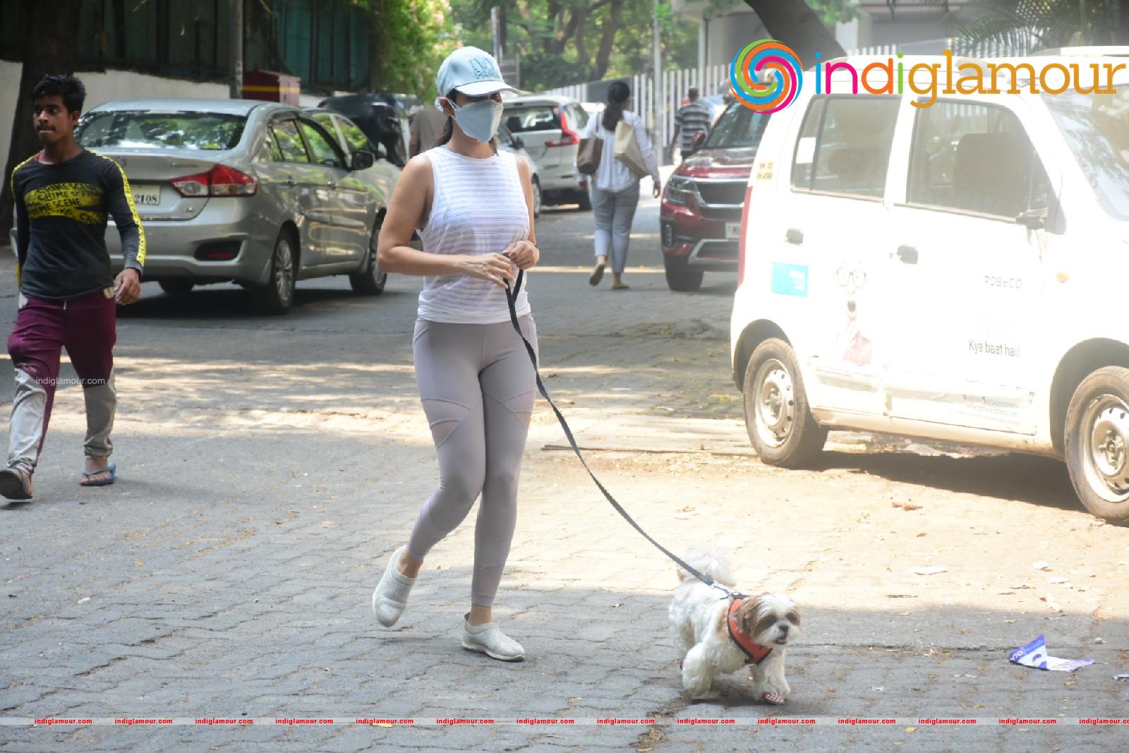 Sophie Choudry Actress hd photo