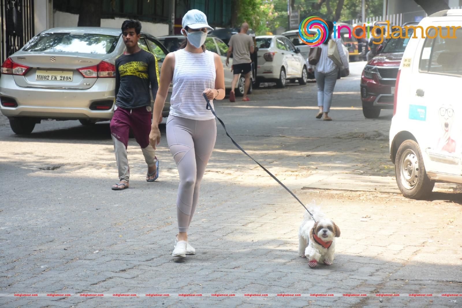 Sophie Choudry Actress hd photo