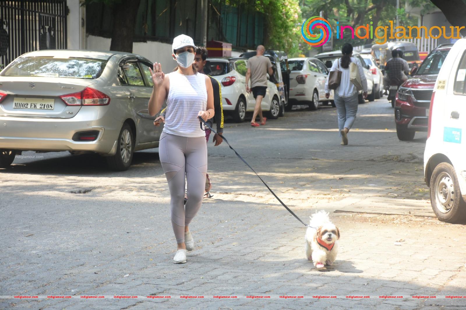 Sophie Choudry Actress hd photo