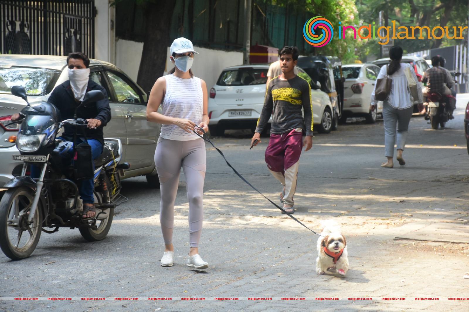 Sophie Choudry Actress hd photo