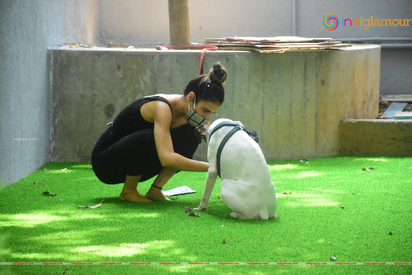 Fatima Sana Shaikh Actress hd photo