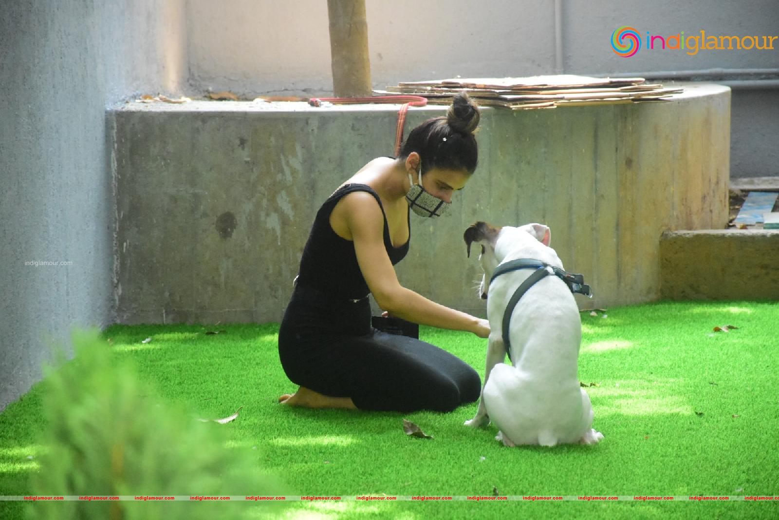 Fatima Sana Shaikh Actress hd photo