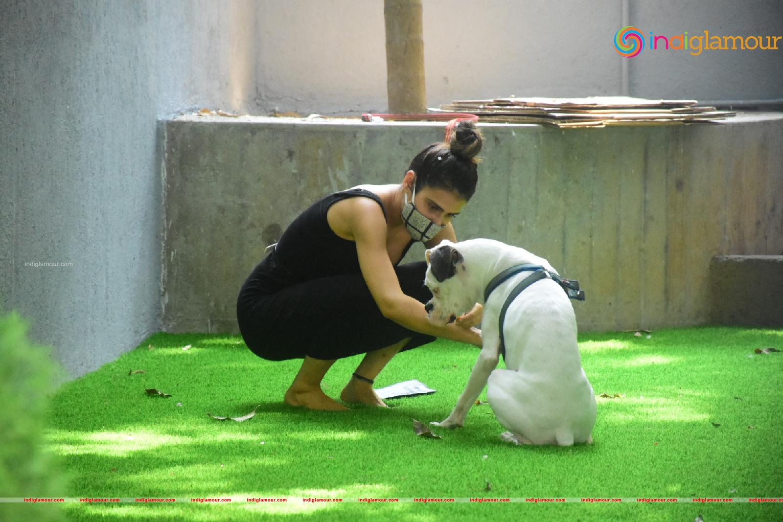Fatima Sana Shaikh Actress hd photo