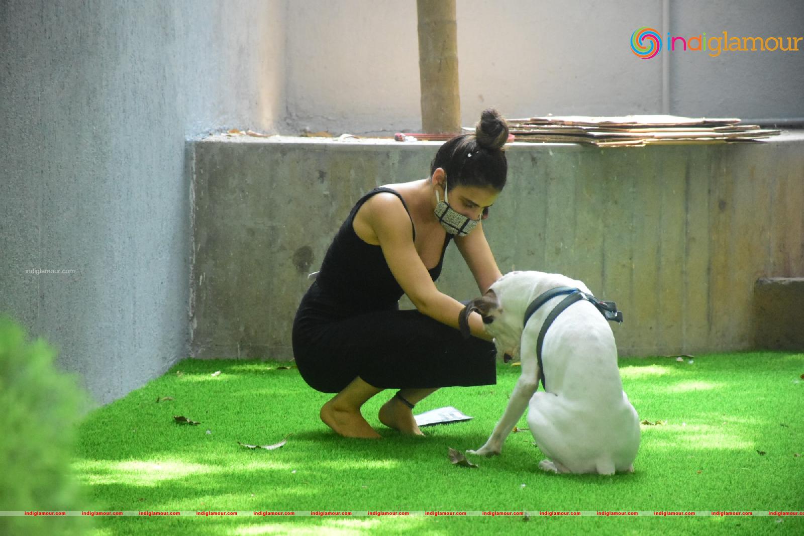 Fatima Sana Shaikh Actress hd photo