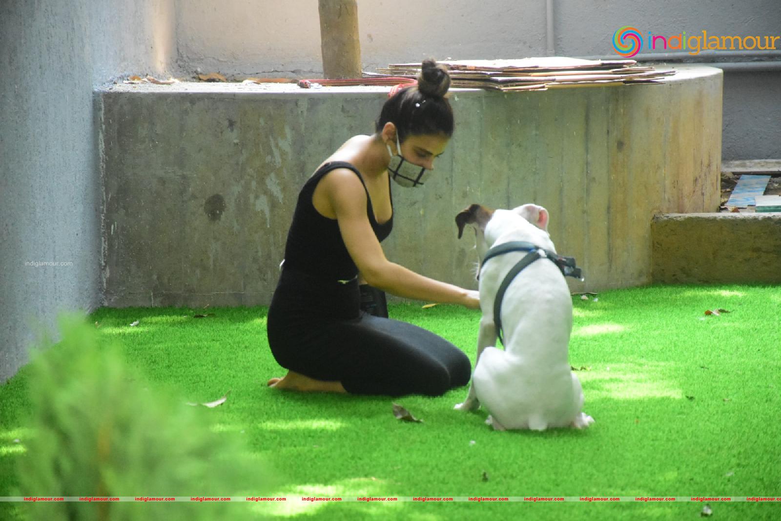 Fatima Sana Shaikh Actress hd photo