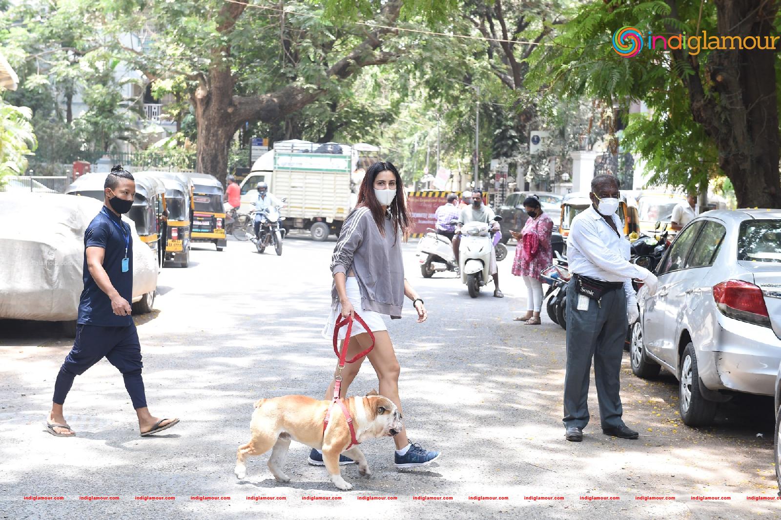 Sonnalli Seygall Actress hd photo