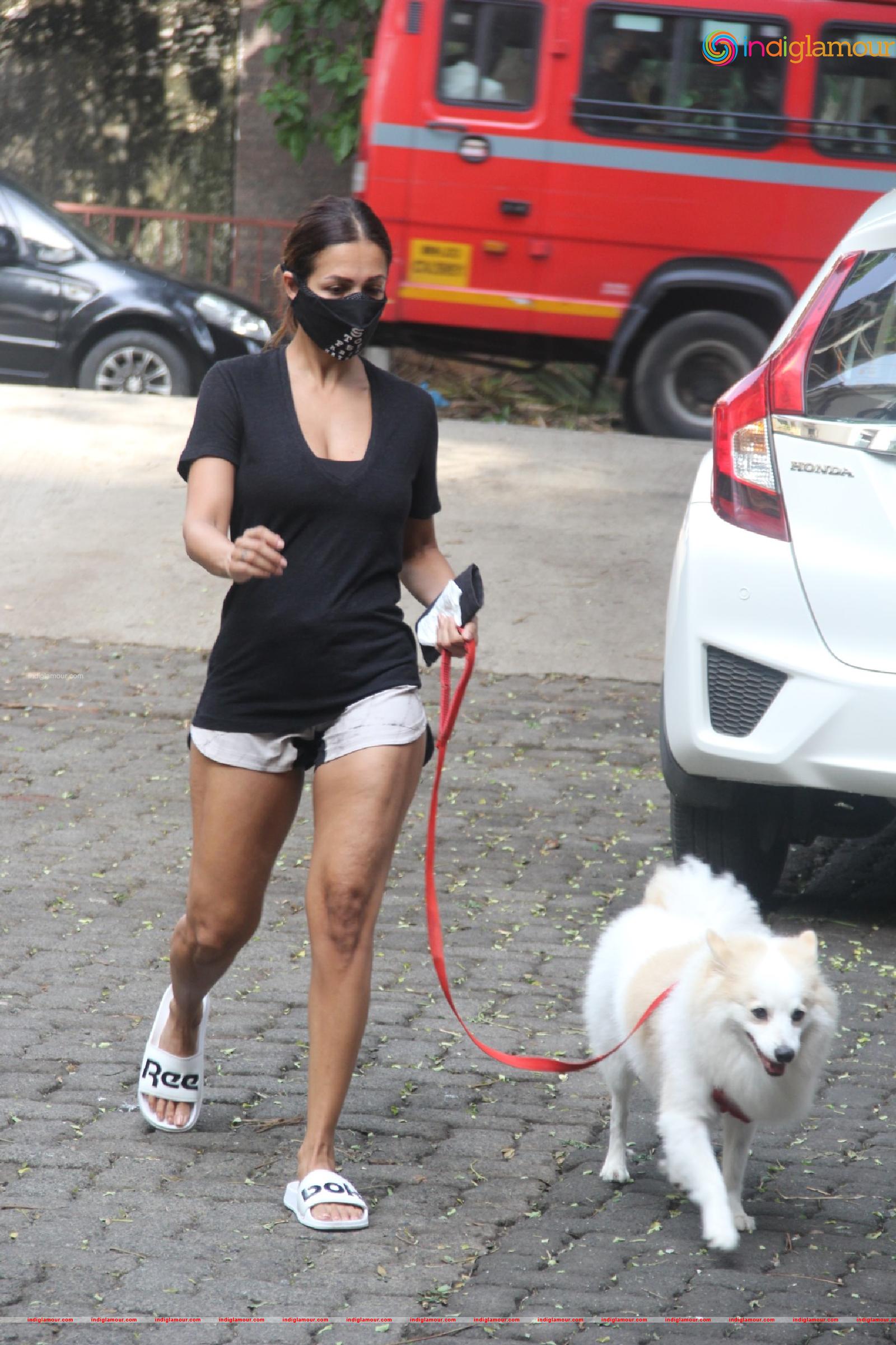 Malaika Arora Actress hd photo