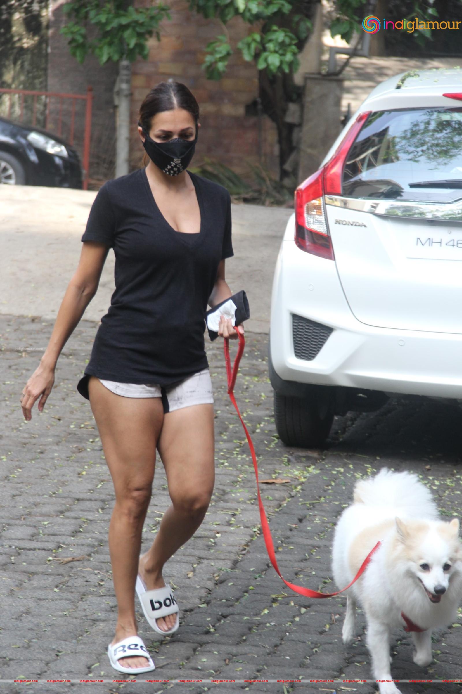 Malaika Arora Actress hd photo