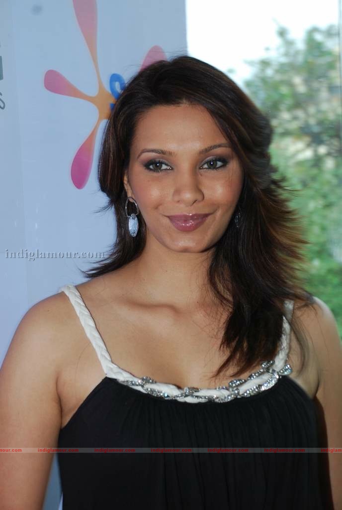 Imran Khan, Dino at Celberate Bandra press meet Event hd photo