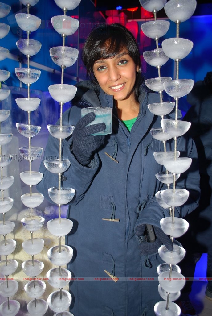 Shweta Salve at the launch of ICE BAR Fahrenhiet 21 Event hd photo