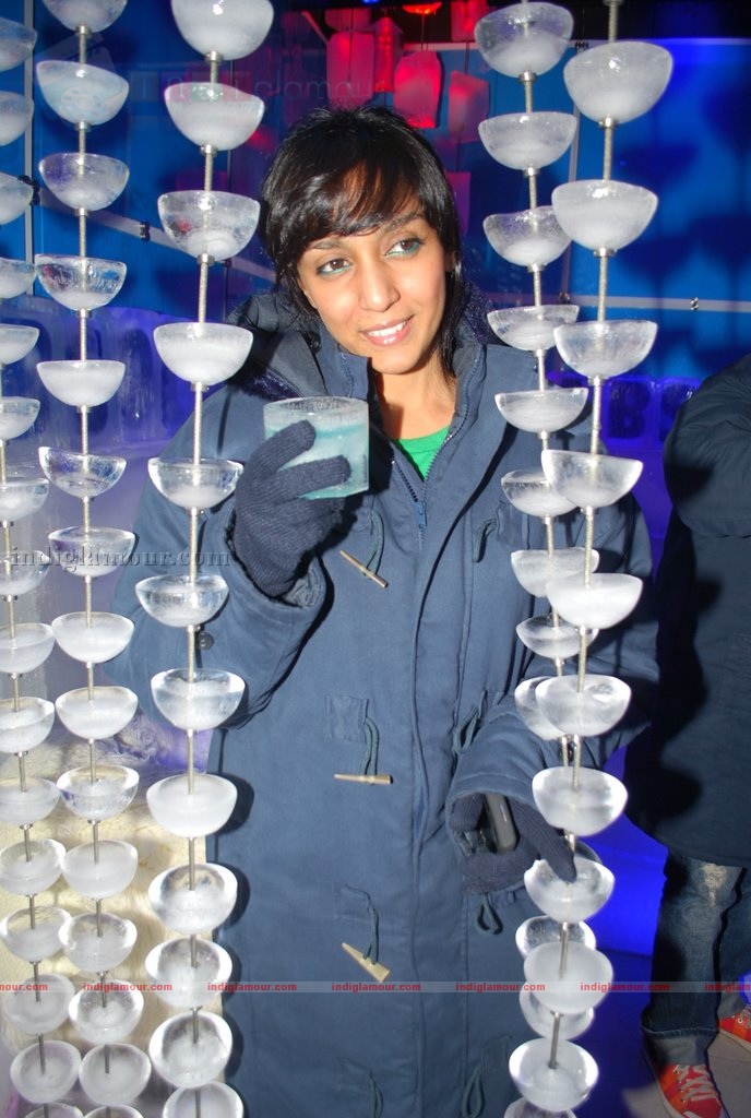 Shweta Salve at the launch of ICE BAR Fahrenhiet 21 Event hd photo