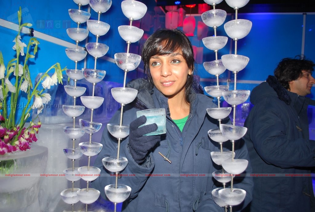Shweta Salve at the launch of ICE BAR Fahrenhiet 21 Event hd photo