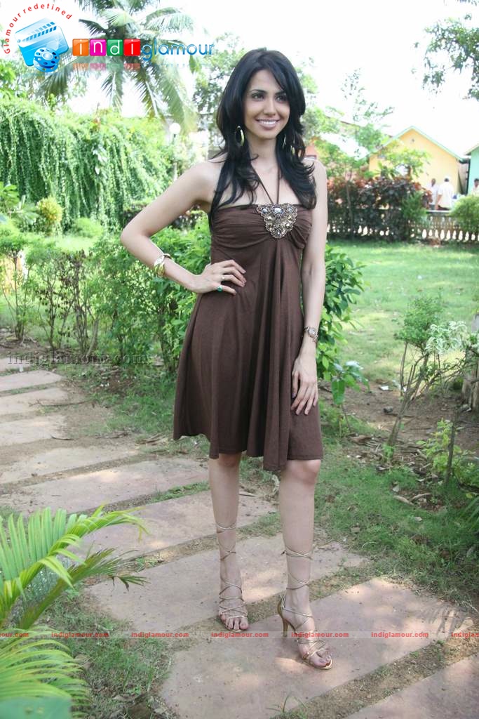 Nikita Anand and Jimmy Shergill at mahurat of Bhumii creations Event hd photo