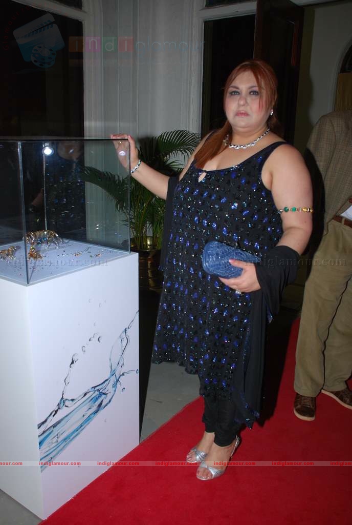 Jiah Khan,Celina,Neetu Chandra at Swarovski auction dinner Event hd photo