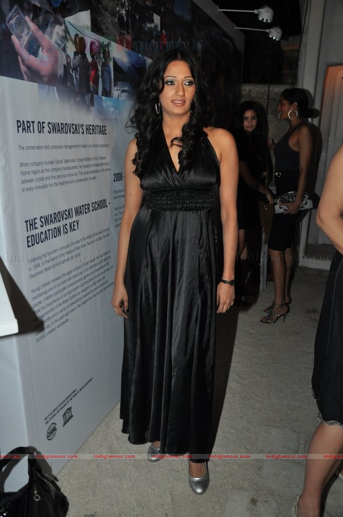Models,designers grace Swarovski-Endangered Tiger bash Event hd photo