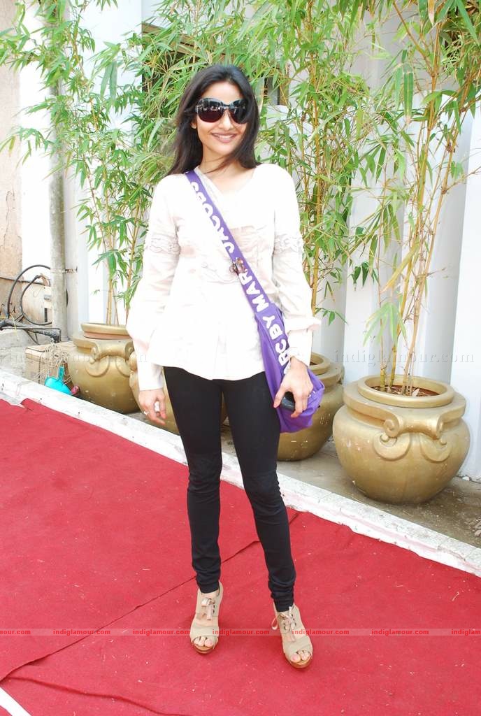 Lara, Twinkle, Sophie, Mallaika, Bobby Deo at Araish event Event hd photo