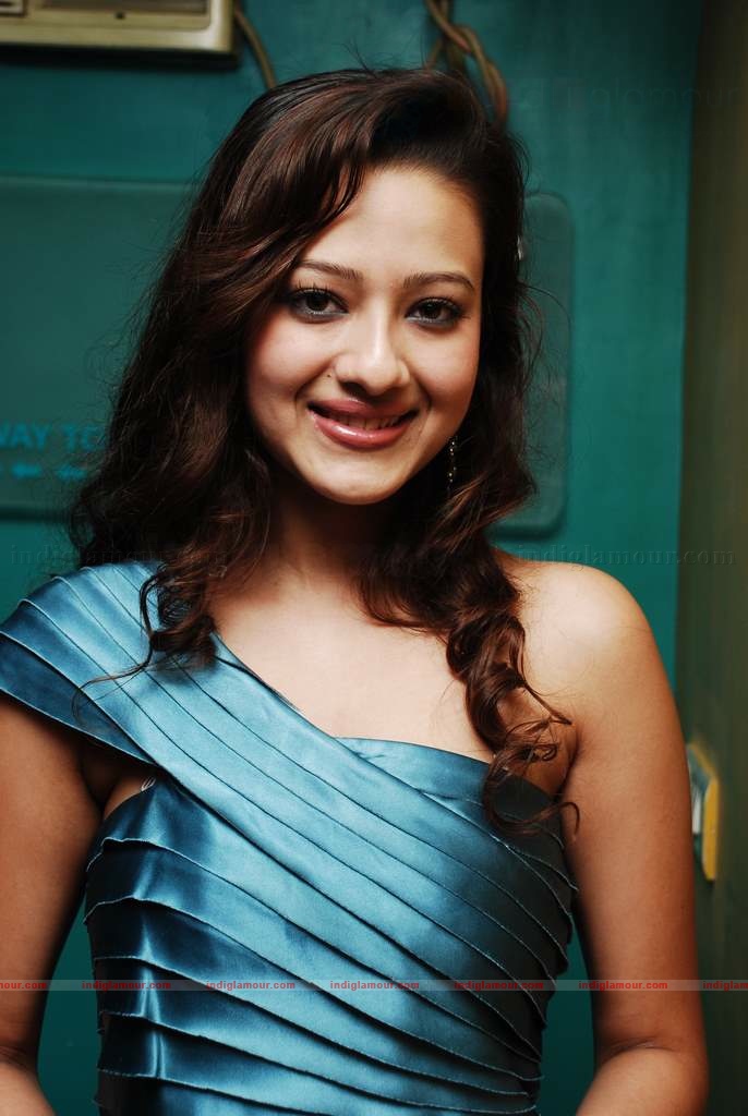 Yuva Tigers celebrity cricket team launch Event hd photo