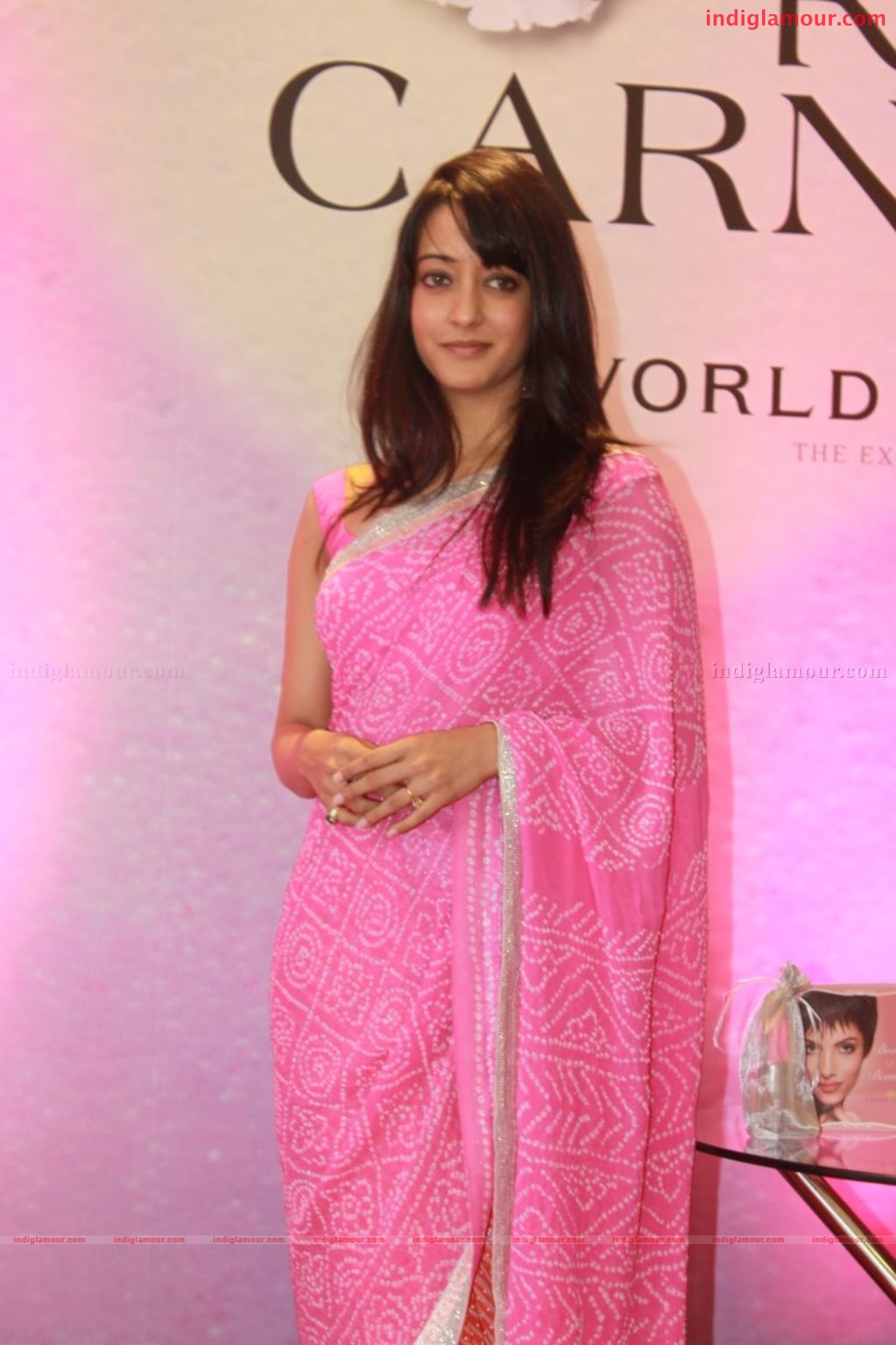 Raima Sen launch The raga carnival Event hd photo