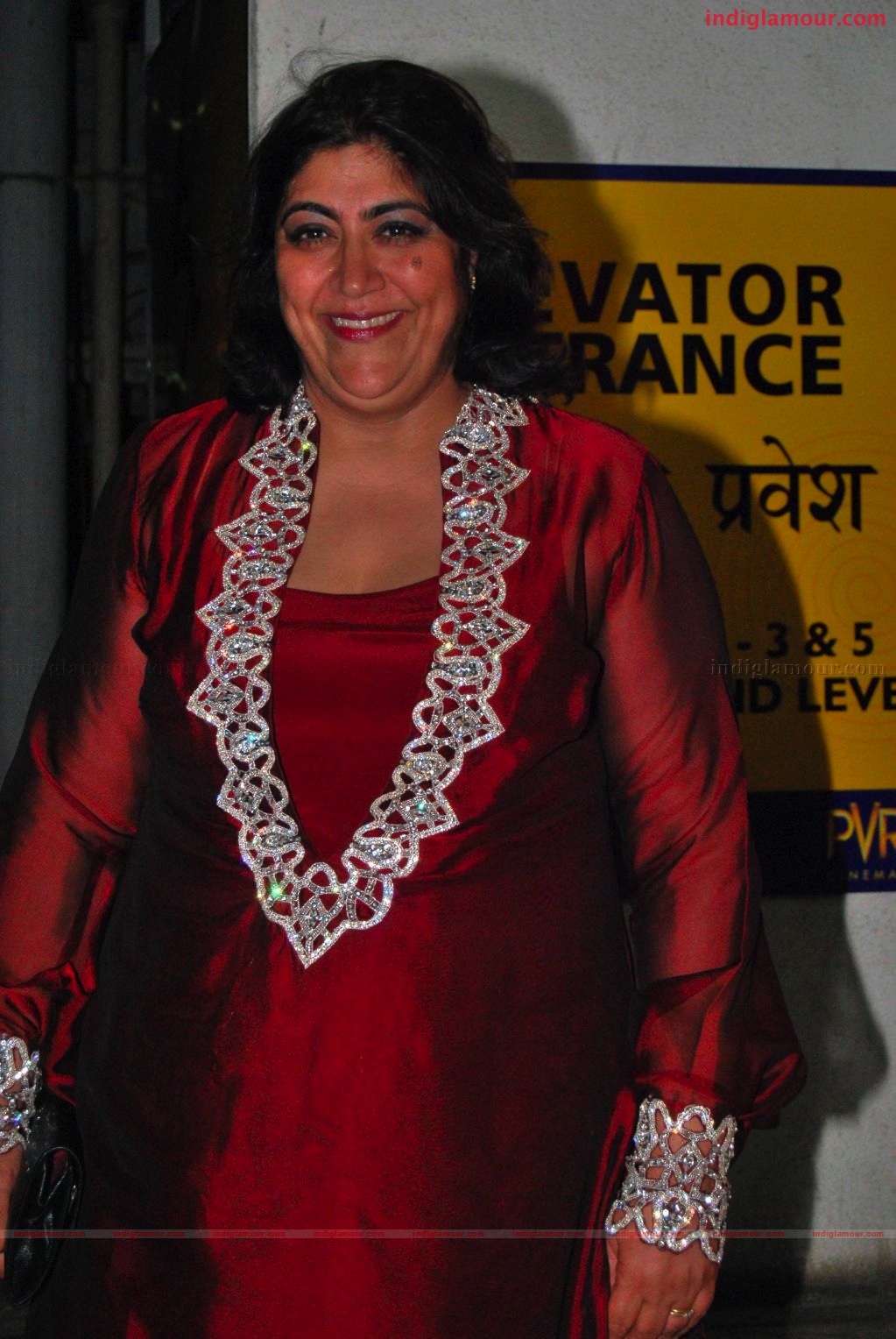 Premier of Gurinder Chadda's Film Its Wonderful Afterlife at PVR Event hd photo