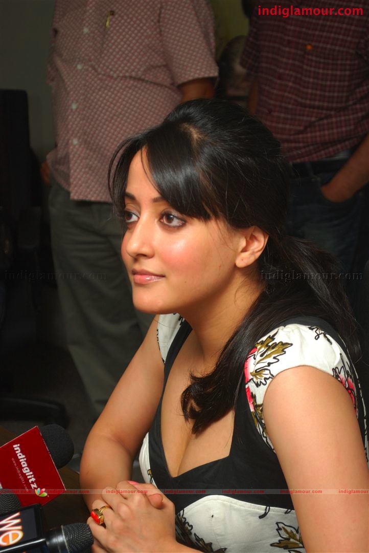 Raima Sen Launches DVD of THE JAPENESE WIFE Event hd photo