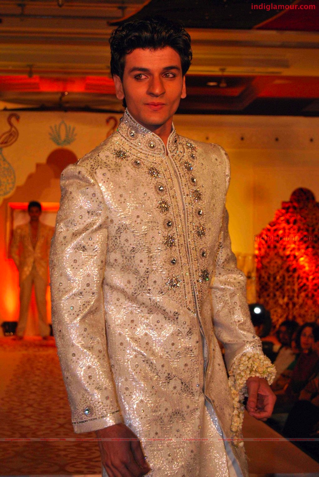 Riaz Gangji's Musical Ramp Show Event hd photo