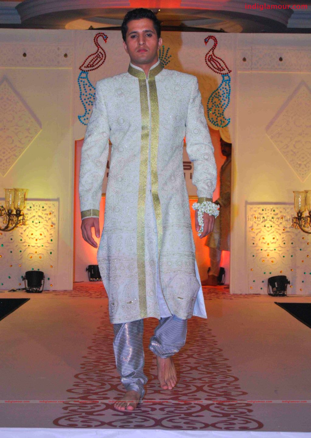 Riaz Gangji's Musical Ramp Show Event hd photo