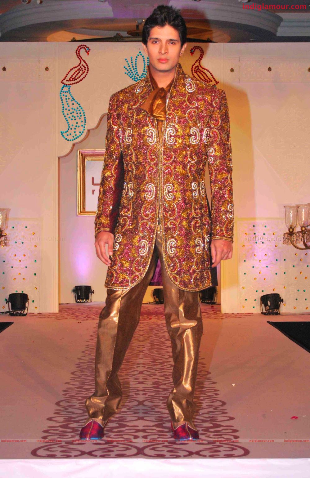 Riaz Gangji's Musical Ramp Show Event hd photo