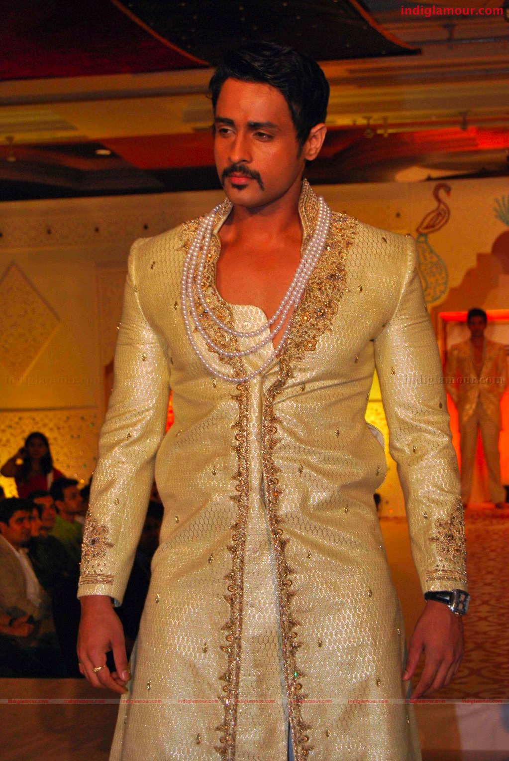 Riaz Gangji's Musical Ramp Show Event hd photo