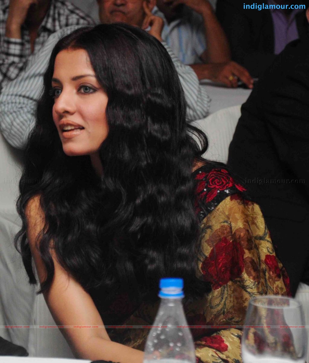 Celina Jaitley lsunches 1st tour operator road show in india Event hd photo