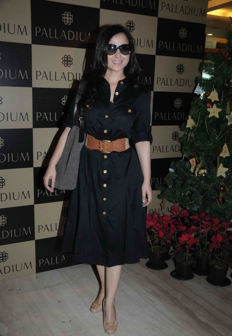 Celebs at Pre Xmas Lunch at Palladium Event hd photo