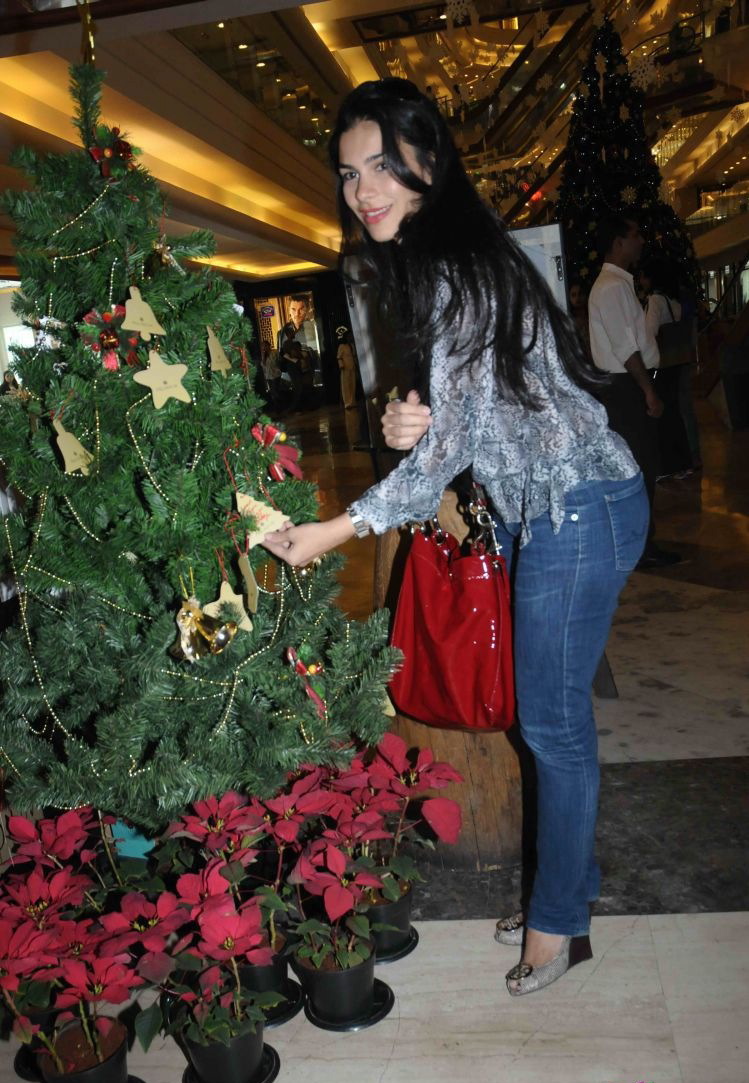Celebs at Pre Xmas Lunch at Palladium Event hd photo