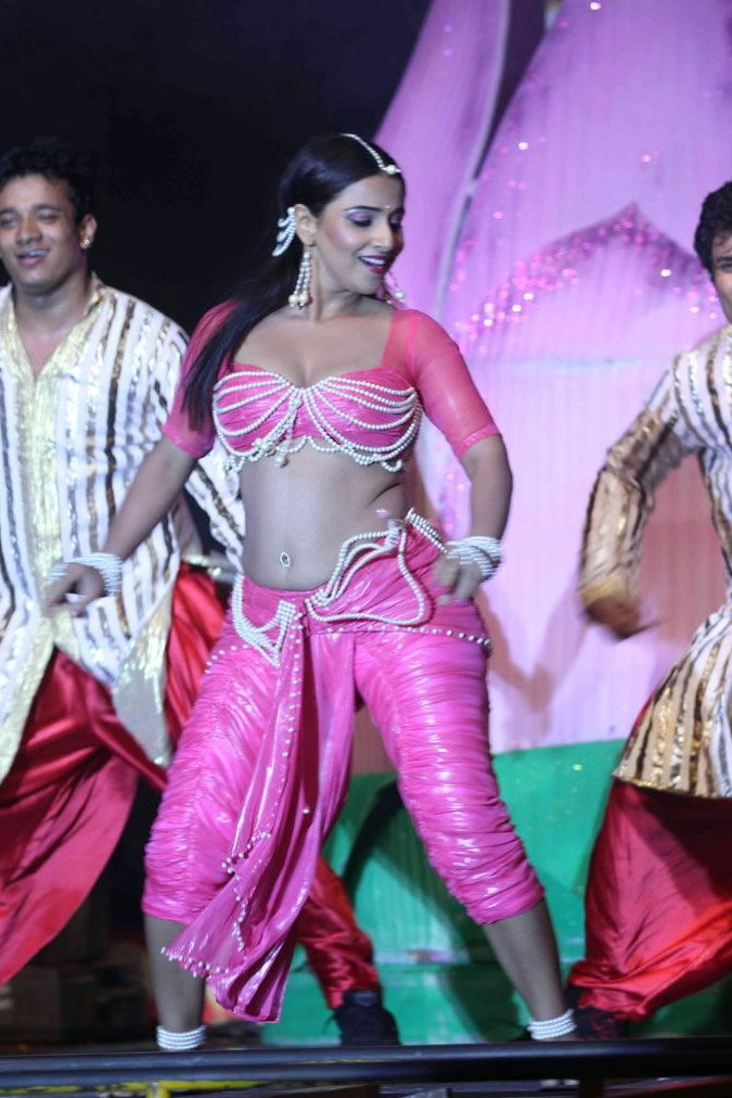 The Dirty Picture Music Launch Event hd photo