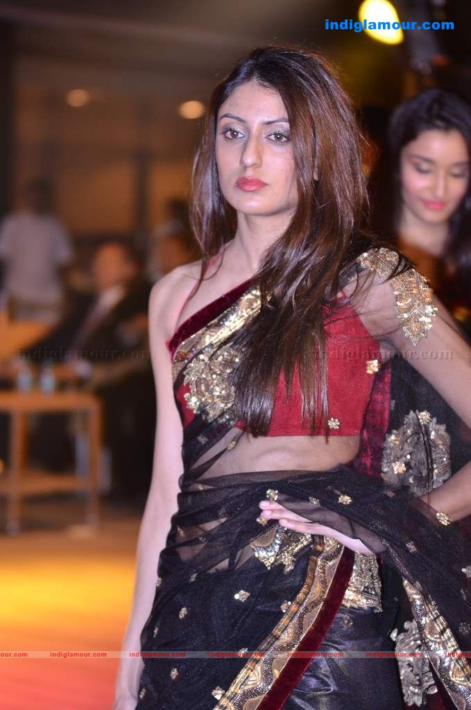 Celina launches Jashn calendar Event hd photo