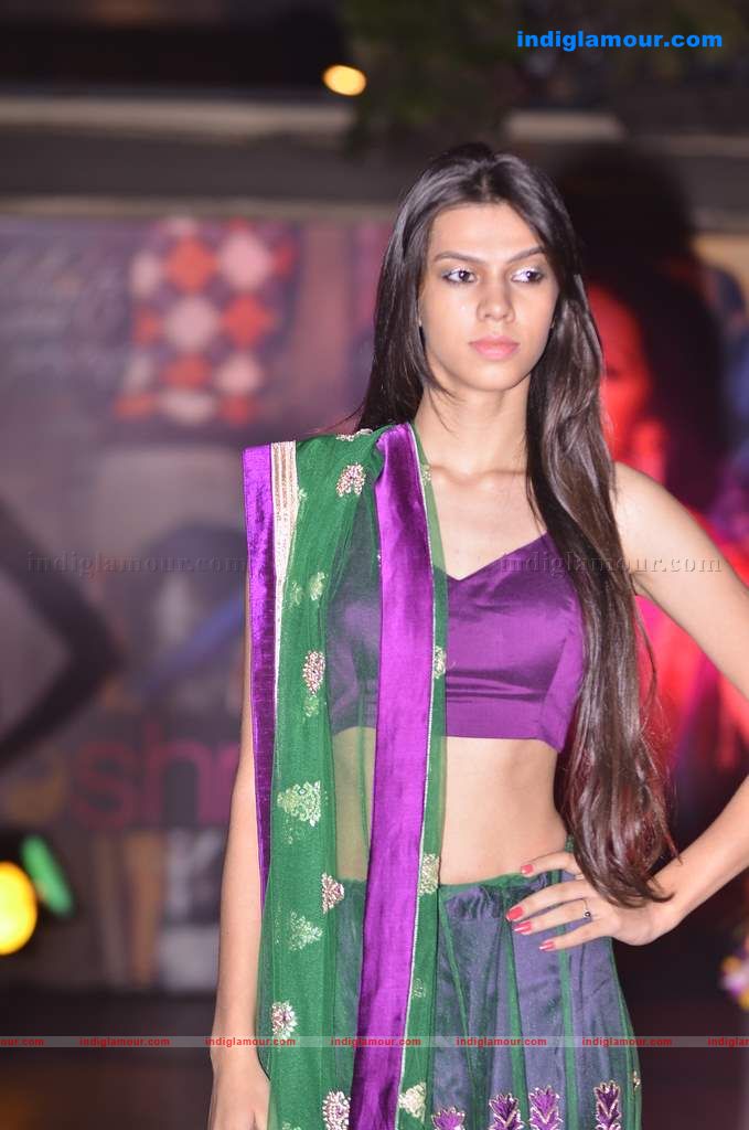 Celina launches Jashn calendar Event hd photo