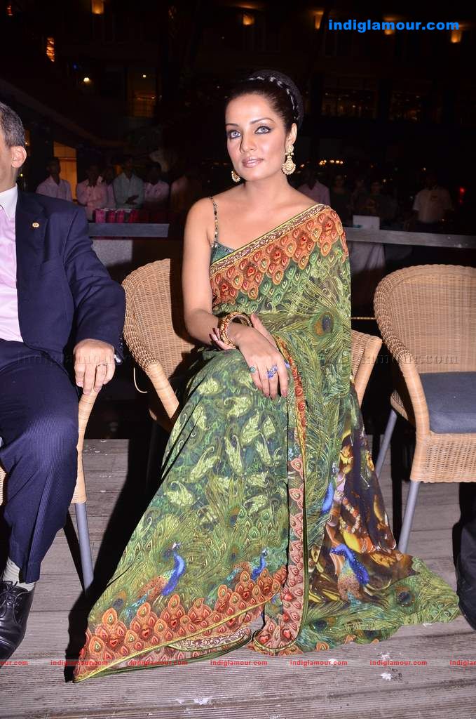 Celina launches Jashn calendar Event hd photo