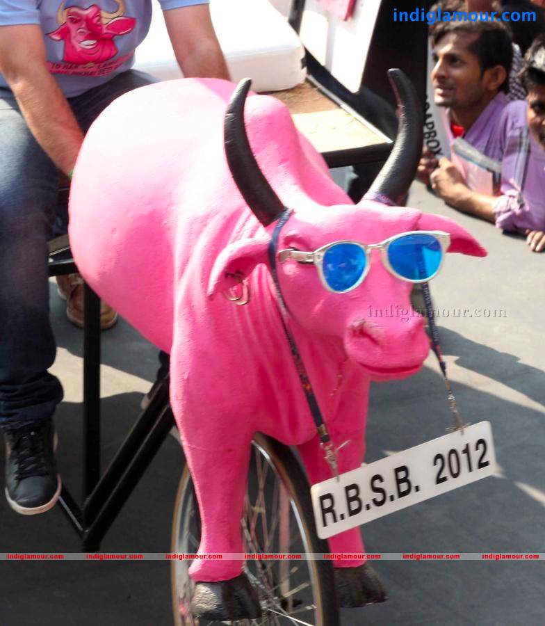 Imran Khan At Red Bull Soapbox Race 2012 Event hd photo