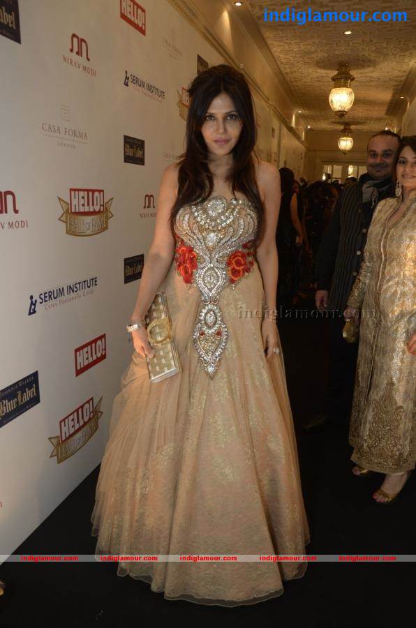 Hall Of Fame Awards 2012 Event hd photo